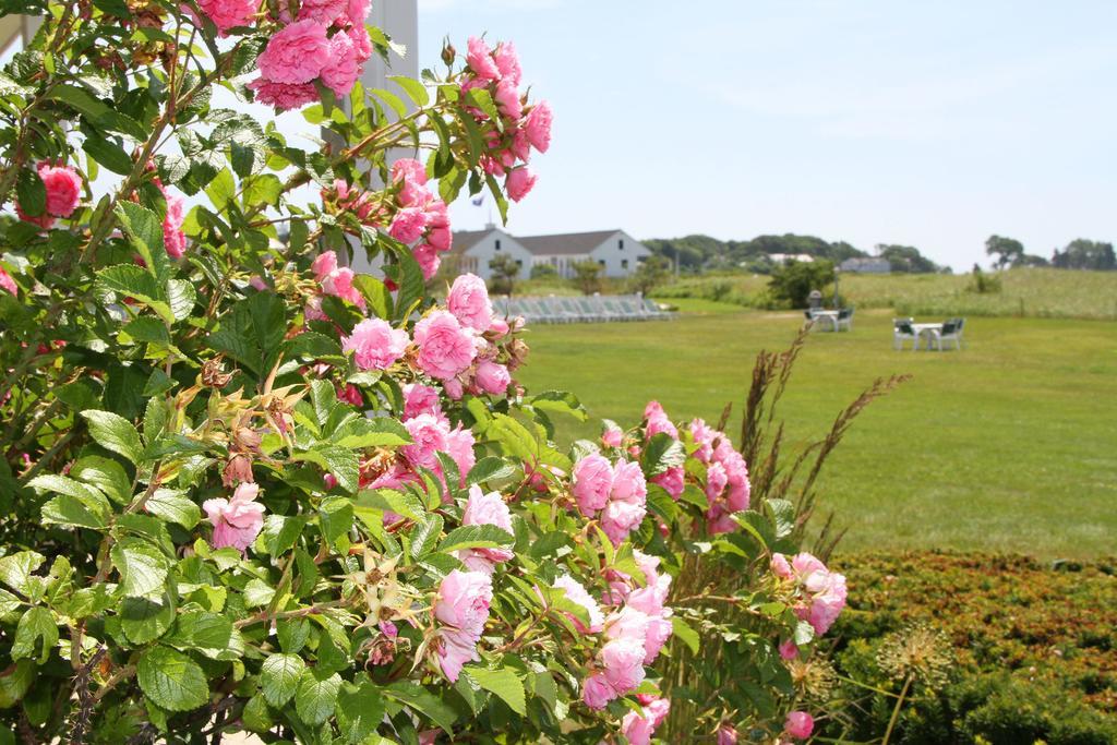 The Seaside Inn Kennebunk Buitenkant foto